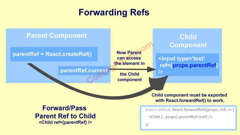 React – Refs - Learn Coding Online - CodingPanel.com